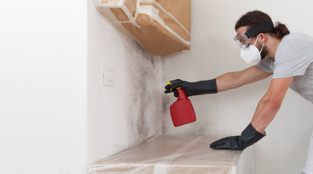 Professional Mold Removal technician working in Pendleton, OR