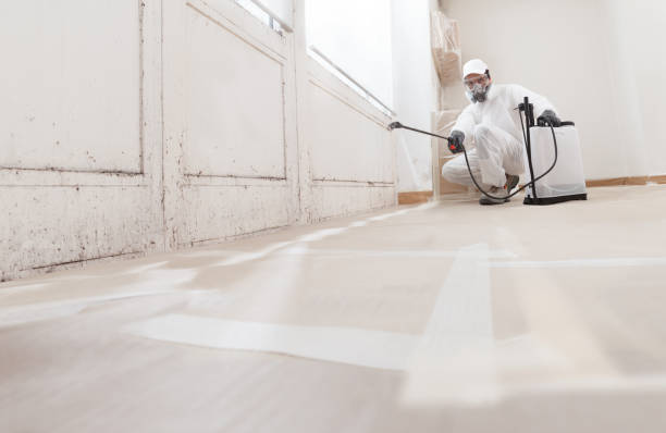 24/7 Emergency Mold Removal experts in Pendleton, OR